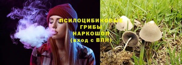 таблы Аркадак