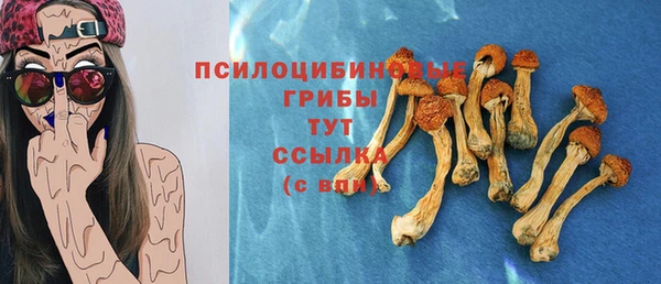 эйфоретик Армянск