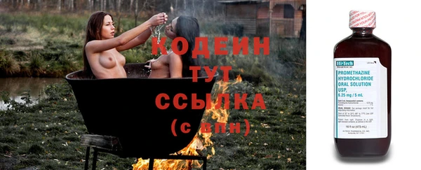 спиды Арсеньев